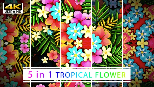 Tropical Flower 4K