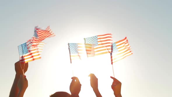 People Waved American Flags. alt