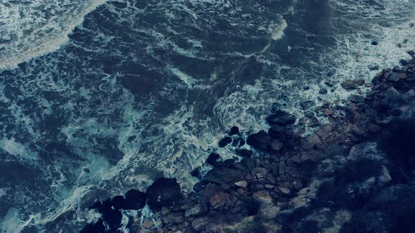 Aerial Drone Footage of Two Birds Soaring Against the Surf in the Evening. alt