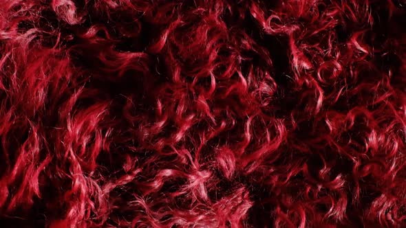 Fur background. Fluffy burgundy fur texture. alt