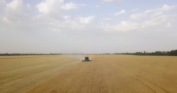 Green Combine Harvests From A Large Field