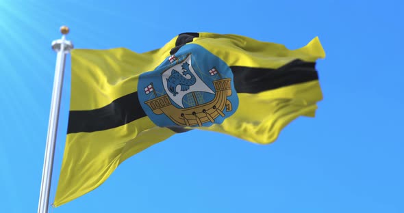 Wellington Flag, New Zealand alt