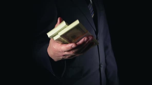 Businessman Throws Up And Catches A Few Stacks Of Us Dollars alt