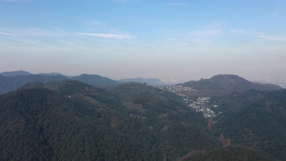 Tea plantation in mountain alt
