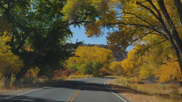 Driving On An Empty Road On Sunny Autumn Day With Bright Yellow Colors On Trees alt