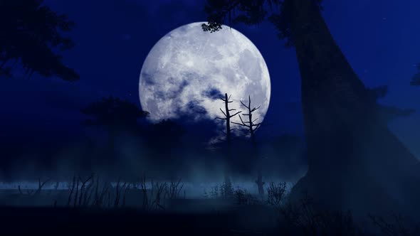 Mysterious Night Forest With Swamp On Halloween alt