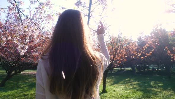 Girl walking in Japanese Garden with blooming trees. Young woman with long hair enjoys spring alt