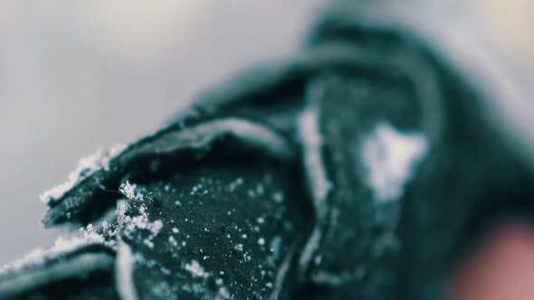 Theatrical Phoenix Suit with Snowflakes on Wings in Forest alt