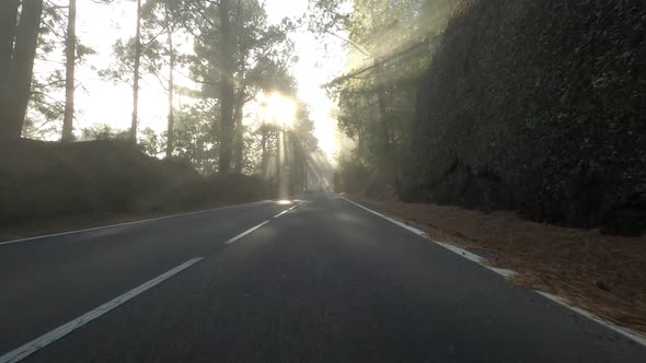 Road in Teide National Park, Tenerife, Canary Islands, Spain alt