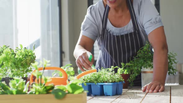 African american senior woman wearing apron smiling while spraying water on plants at home alt