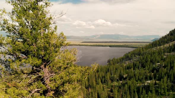 Aerial View of Jenny Lake in Grand Teton National Park alt