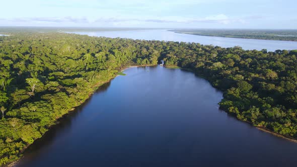 Aerial view moving forward shot, scenic view of the amazon river and its forest in Colombia, sunrise alt