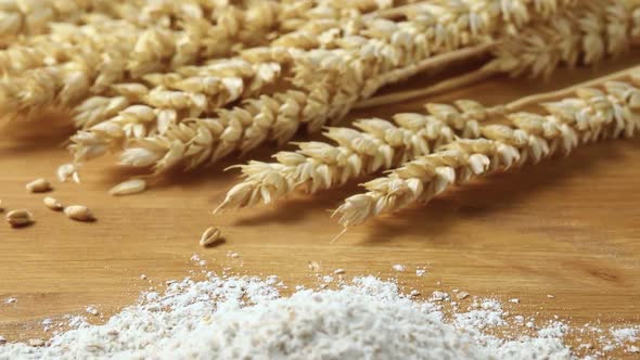 Heap of ground wheat flower and dried wheat ears on the background close up  alt