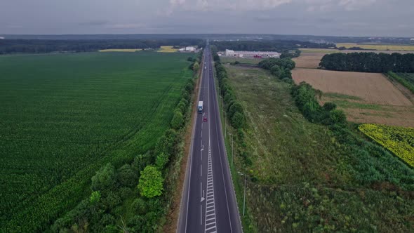 Car Riding on the Highway Through the Forest on Countryside alt