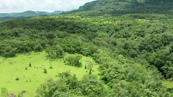 Slow Drone Flying over the jungles of the western Ghats during the monsoon afternoon alt