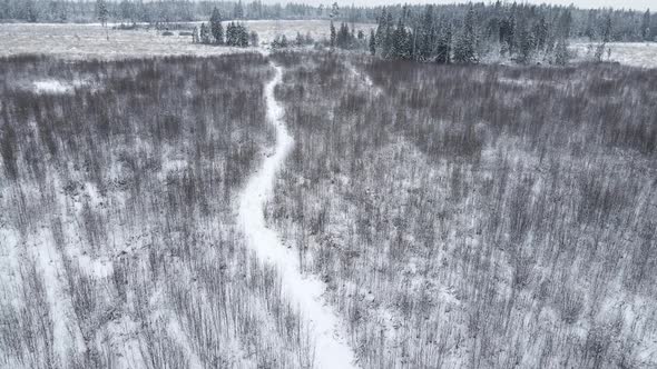 Winter Snow Covered Field with Forest and Path Flying alt