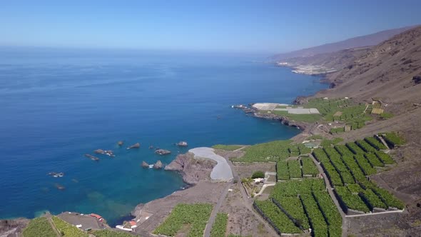 Banana Cultivation on La Palma Island, Canary Islands, Spain