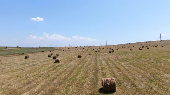 Beautiful Rural Landscape with Rolls of Hay on Agricultural Wheat Field