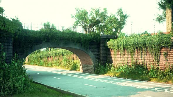 Empty Streets in Downtown Cause the Coronavirus Pandemic Emergency alt