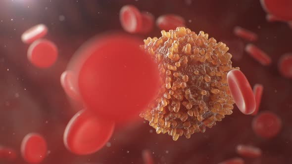 Cancer Cells Blood Vessel