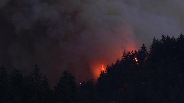 Forest Fire Near Portland Oregon alt