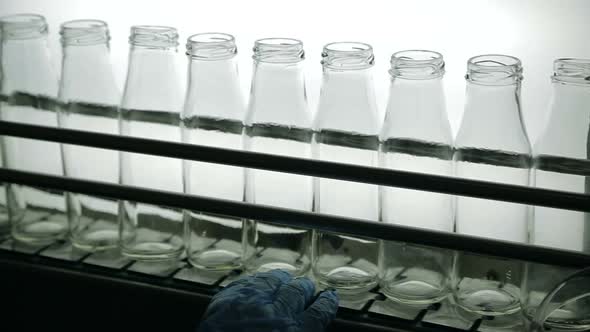 Conveyor with Clean Milk Bottles at Big Factory alt