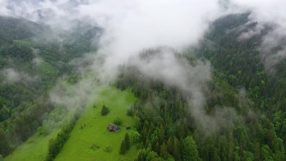 Nature. Aerial view at summer forest. Natural summer landscape from air. alt