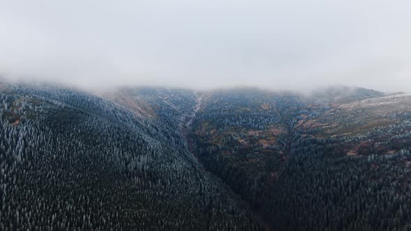 Aerial View Frozen Mountain with Trees in Autumn