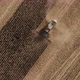 Combines Gathering Corn from the Agriculture Field - VideoHive Item for Sale