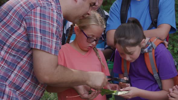 Kids at summer camp looking at leaf on nature walk