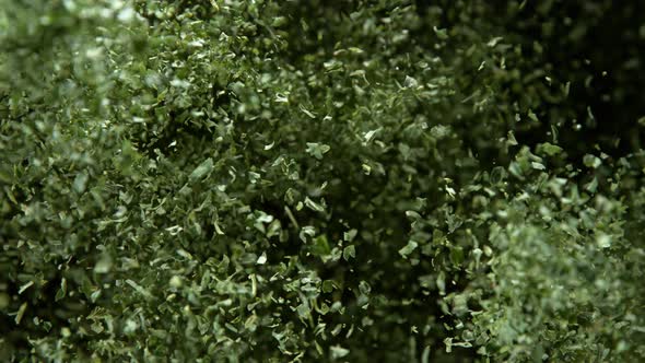 Super Slow Motion Shot of Green Dried and Chopped Seasoning Explosion at 1000Fps. alt