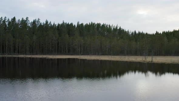 Flying forwards through the forest towards a mirrored calm river with reflections of the clouds and alt