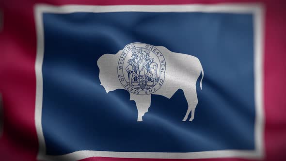 Wyoming State Flag Front