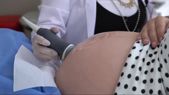 Ultrasound Examination Of Pregnant