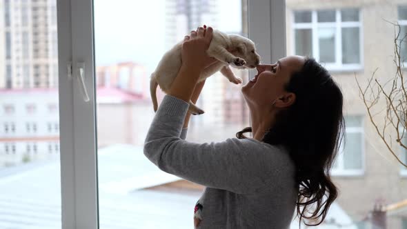 Woman Holding Cute Labrador Puppy Against Window alt