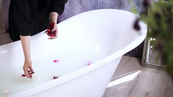 Young Attractive Woman in Black Bathrobe Throwing Flowers to the Bath Tub Filled with Milk Getting alt
