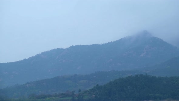 Clouds and Fog in the Forested Mountains