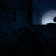 Crow On Old Castle Ruins At Night - VideoHive Item for Sale