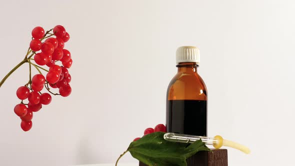 Medicinal Tincture Of Rowan Berries On A White Background Copy Space. Homeopathy Herbal Treatment