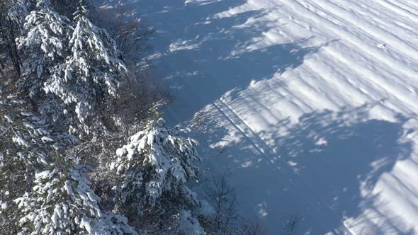 Tree shadows over the snow 4K drone footage
