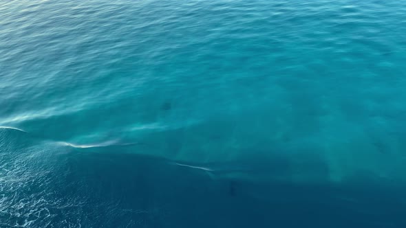 Blue Water Waves Surface Beautiful Background with Copy Space alt