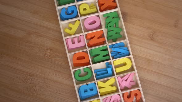 Back to School Concept alt