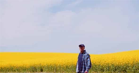 Farmer or Agronomist Walking on Agrculture Field and Looking at Crops alt