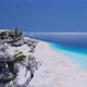 Flying Above Beautiful Tropical Palm Trees Snow Sea Beach 4K - VideoHive Item for Sale