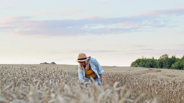 Nice Blonde Touches Wheat Ears With Her Hand. Beautiful Woman In Hat Walks On Trail On Wheat Field alt