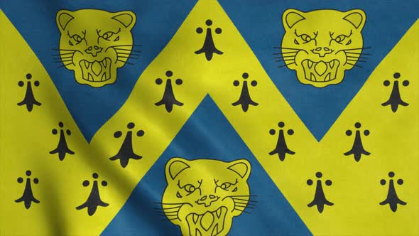 Shropshire Flag England Waving in Wind alt