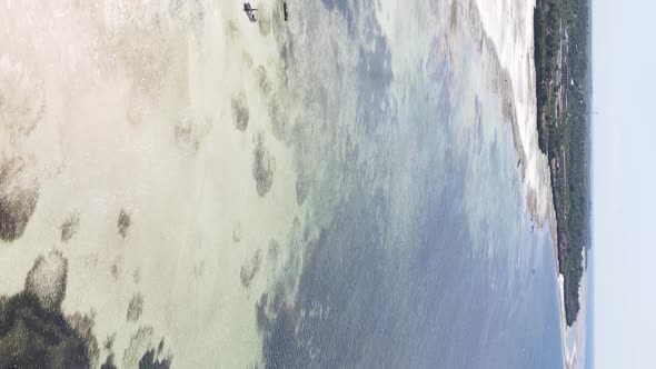 Vertical Video of Low Tide in the Ocean Near the Coast of Zanzibar Tanzania Aerial View alt