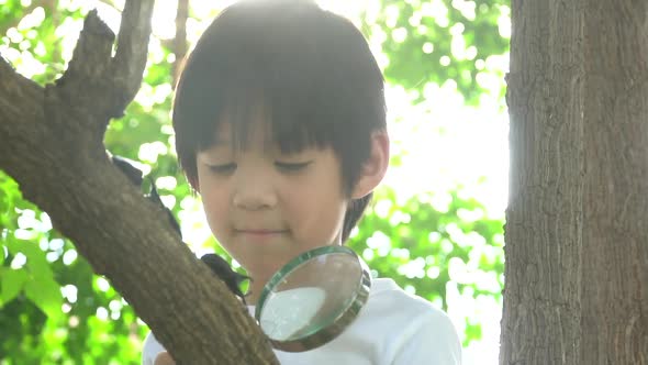 Cute Asian Child Looking Through A Magnifying Glass At A Rhinoceros Beetle In The Forest  alt