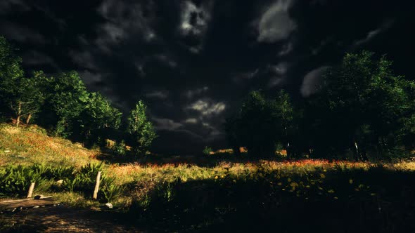 Thunderstorm Clouds with Lightning in Green Meadow alt