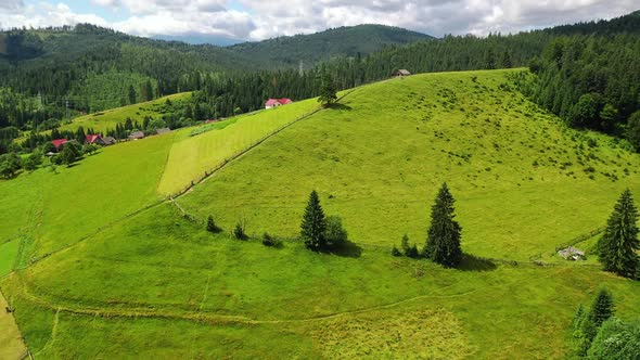 Carpathian Mountain Landscape